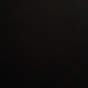 Meet your Posher, Bo